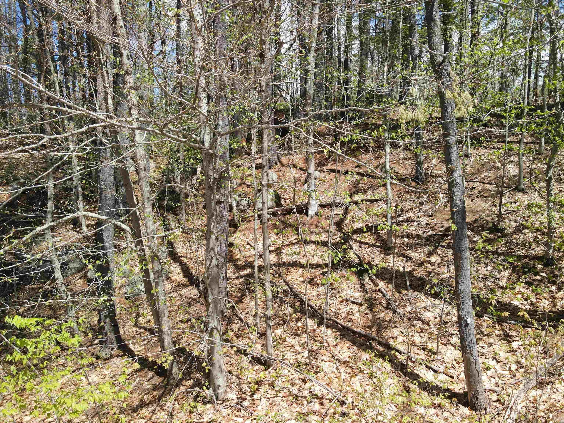 12 Eidelweiss Drive Madison NH 03849
