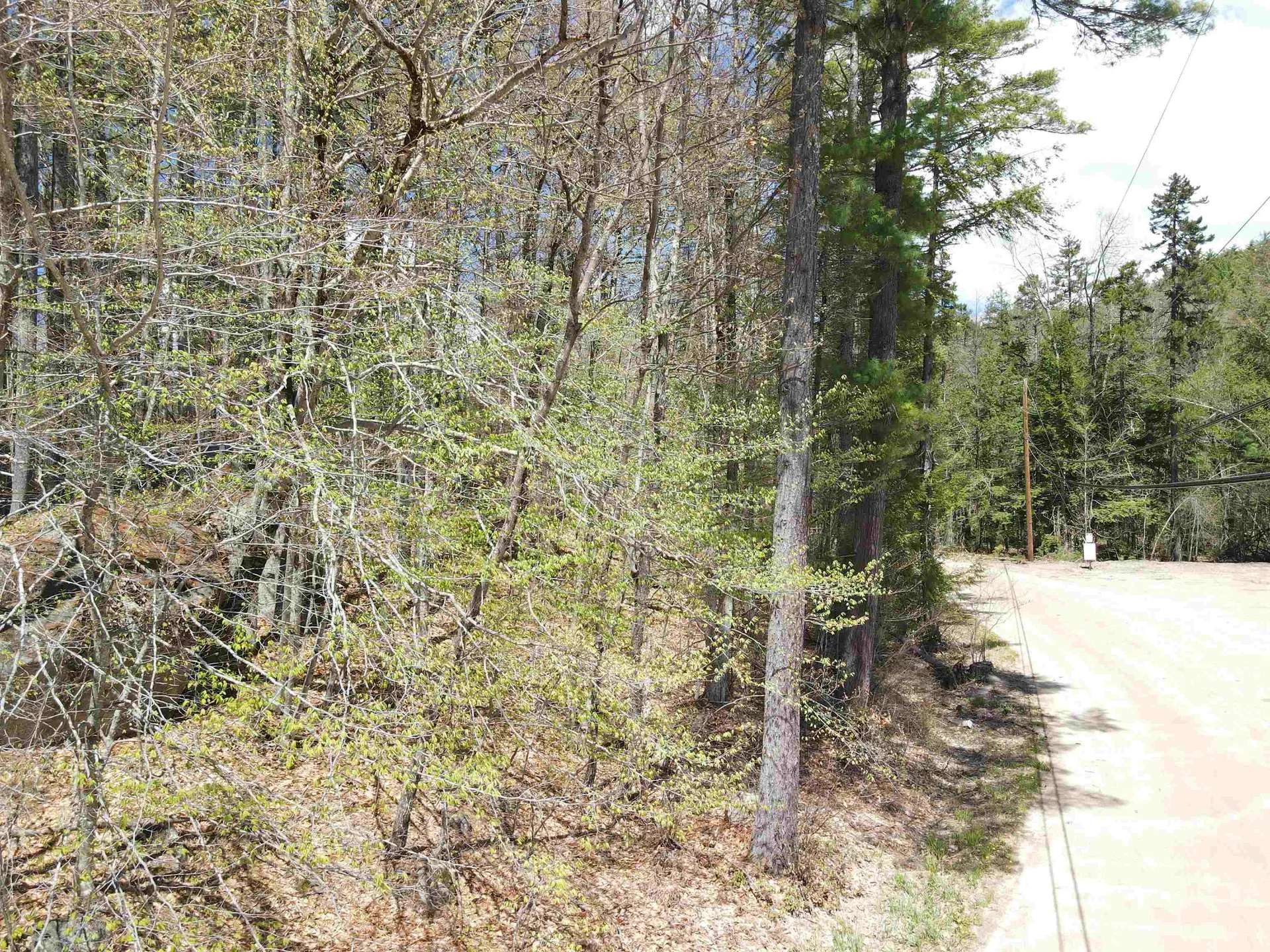 12 Eidelweiss Drive Madison NH 03849