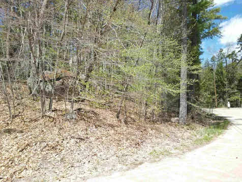 12 Eidelweiss Drive Madison NH 03849