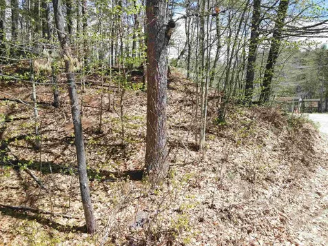 12 Eidelweiss Drive Madison NH 03849