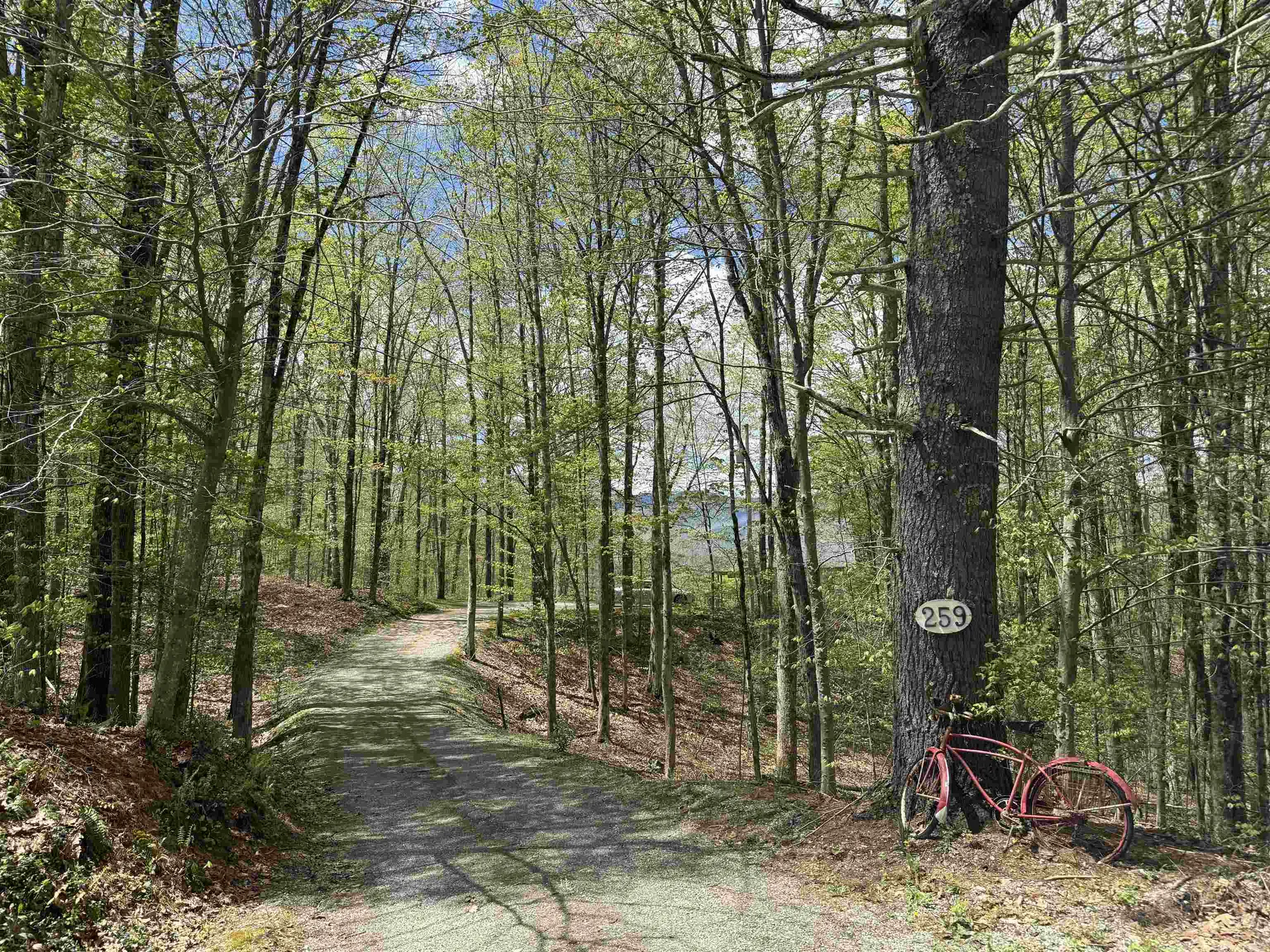 259 Nottingham Park Manchester VT 05255