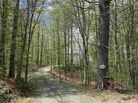 259 Nottingham Park Manchester VT 05255