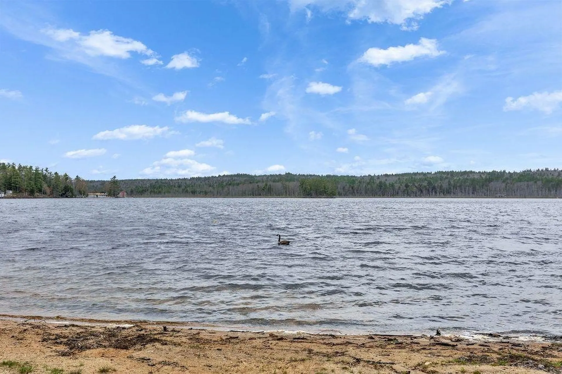59 Lakeside Drive Fitzwilliam NH 03447