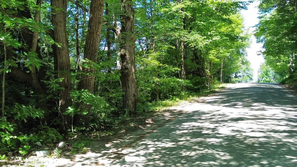 00-B Fuller Road Newbury VT 05051
