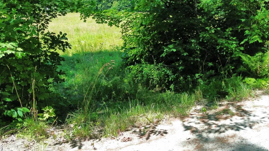 00-A Fuller Road Newbury VT 05051
