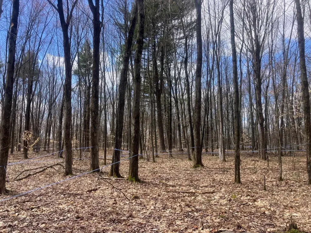 74 Jedware Circle Highgate VT 05459