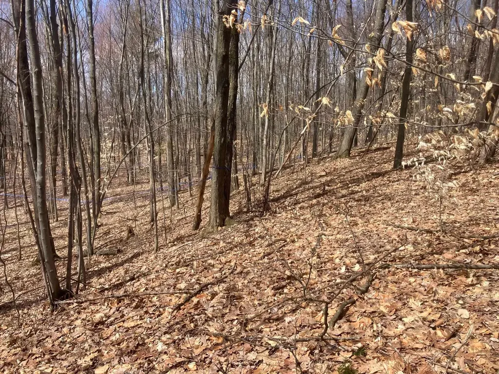 74 Jedware Circle Highgate VT 05459