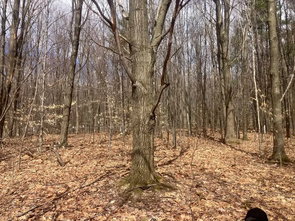 74 Jedware Circle Highgate VT 05459
