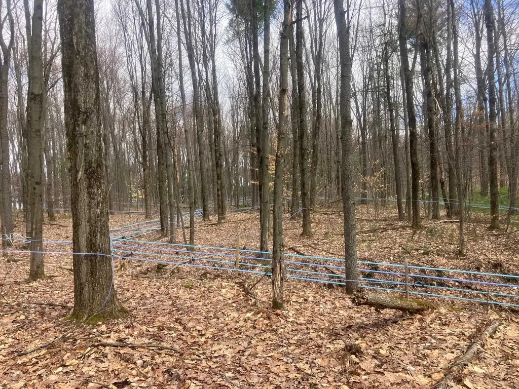 74 Jedware Circle Highgate VT 05459