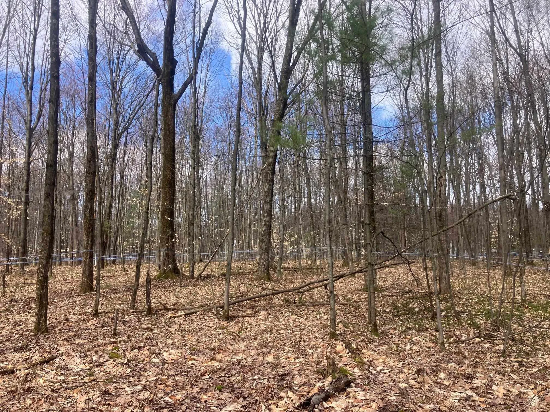 74 Jedware Circle Highgate VT 05459