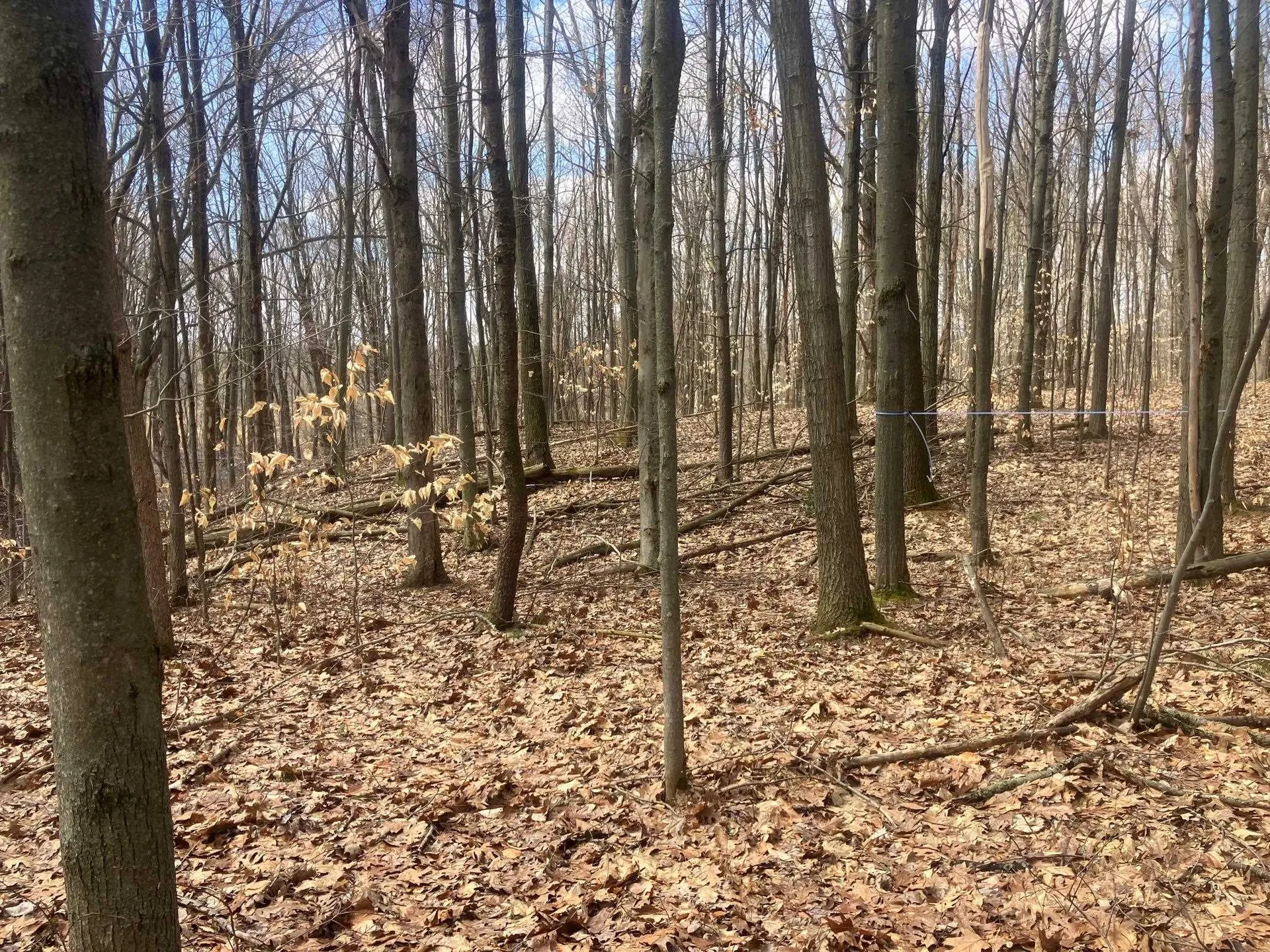 74 Jedware Circle Highgate VT 05459