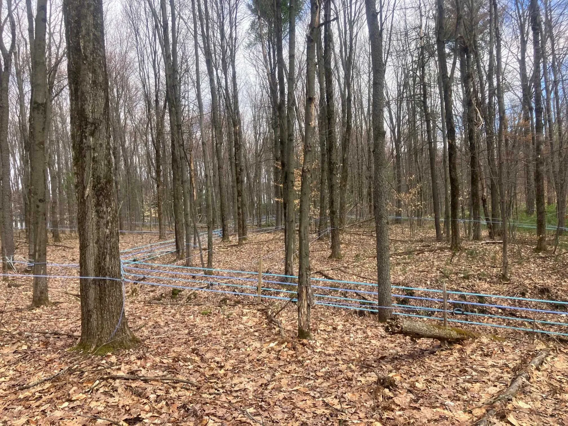 74 Jedware Circle Highgate VT 05459