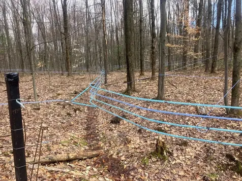 74 Jedware Circle Highgate VT 05459