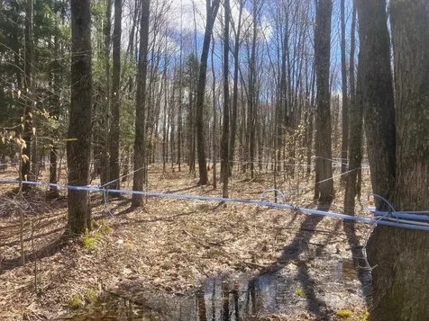 74 Jedware Circle Highgate VT 05459