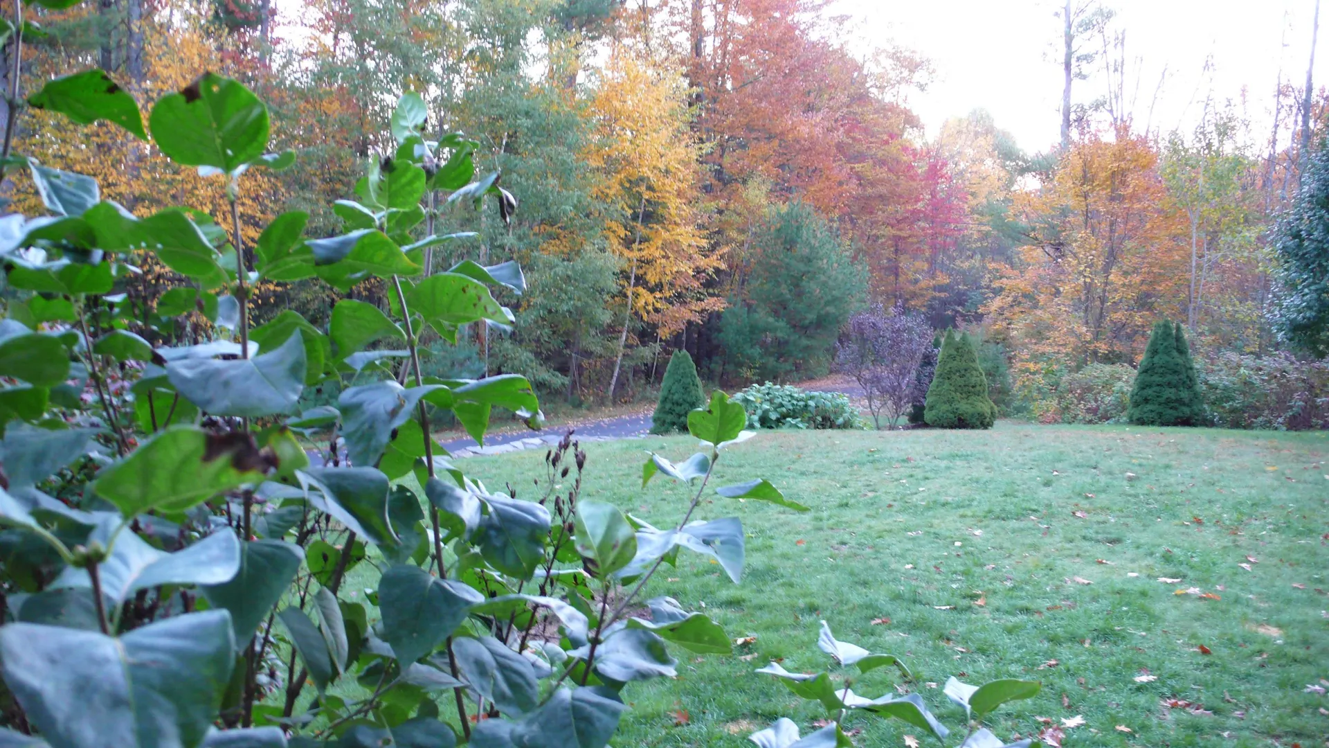 30 Watson Road Dover NH 03820