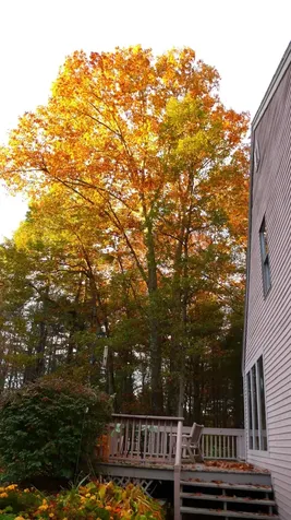 30 Watson Road Dover NH 03820