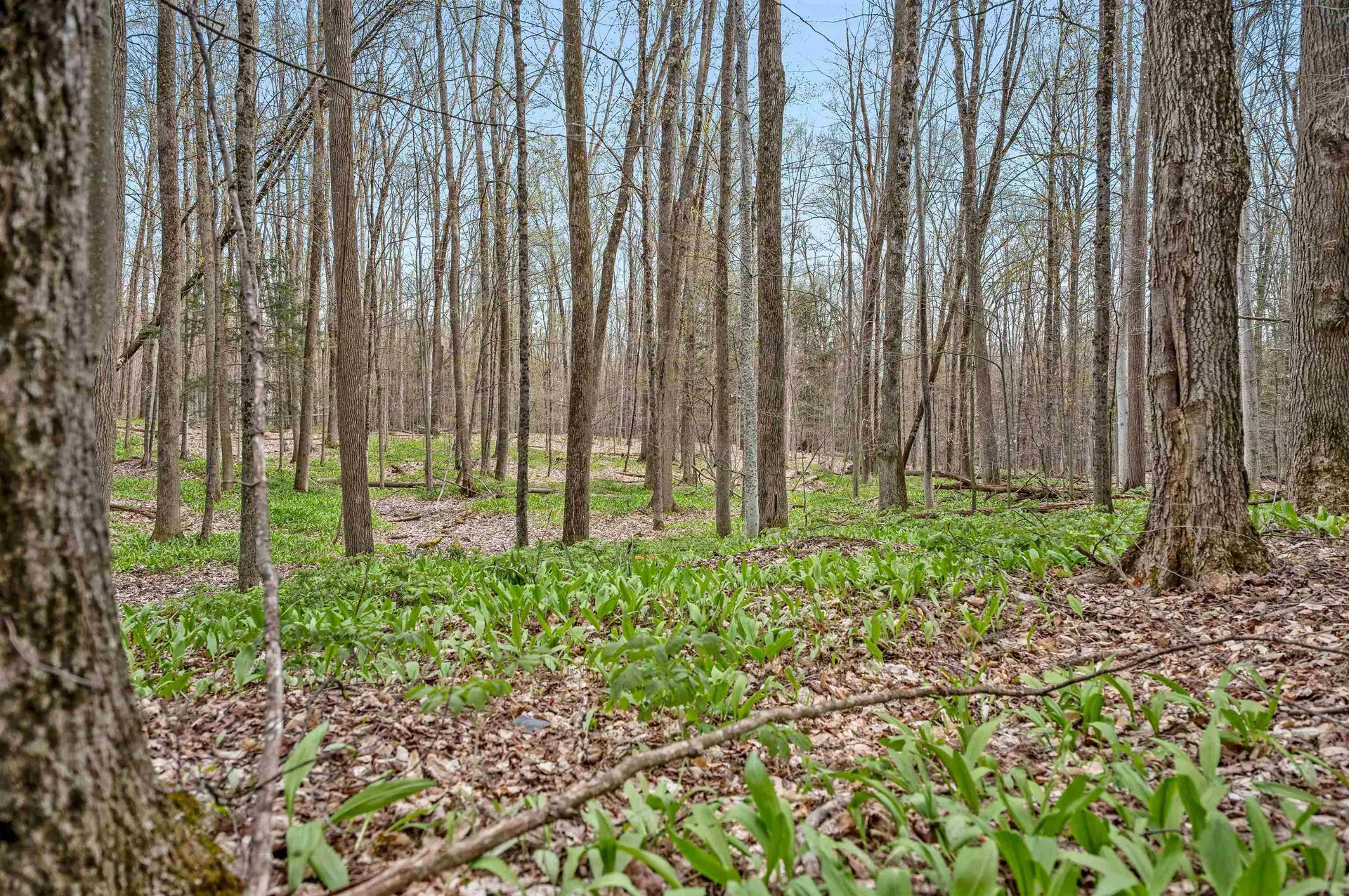 170 Spring Hollow Lane Montpelier VT 05602