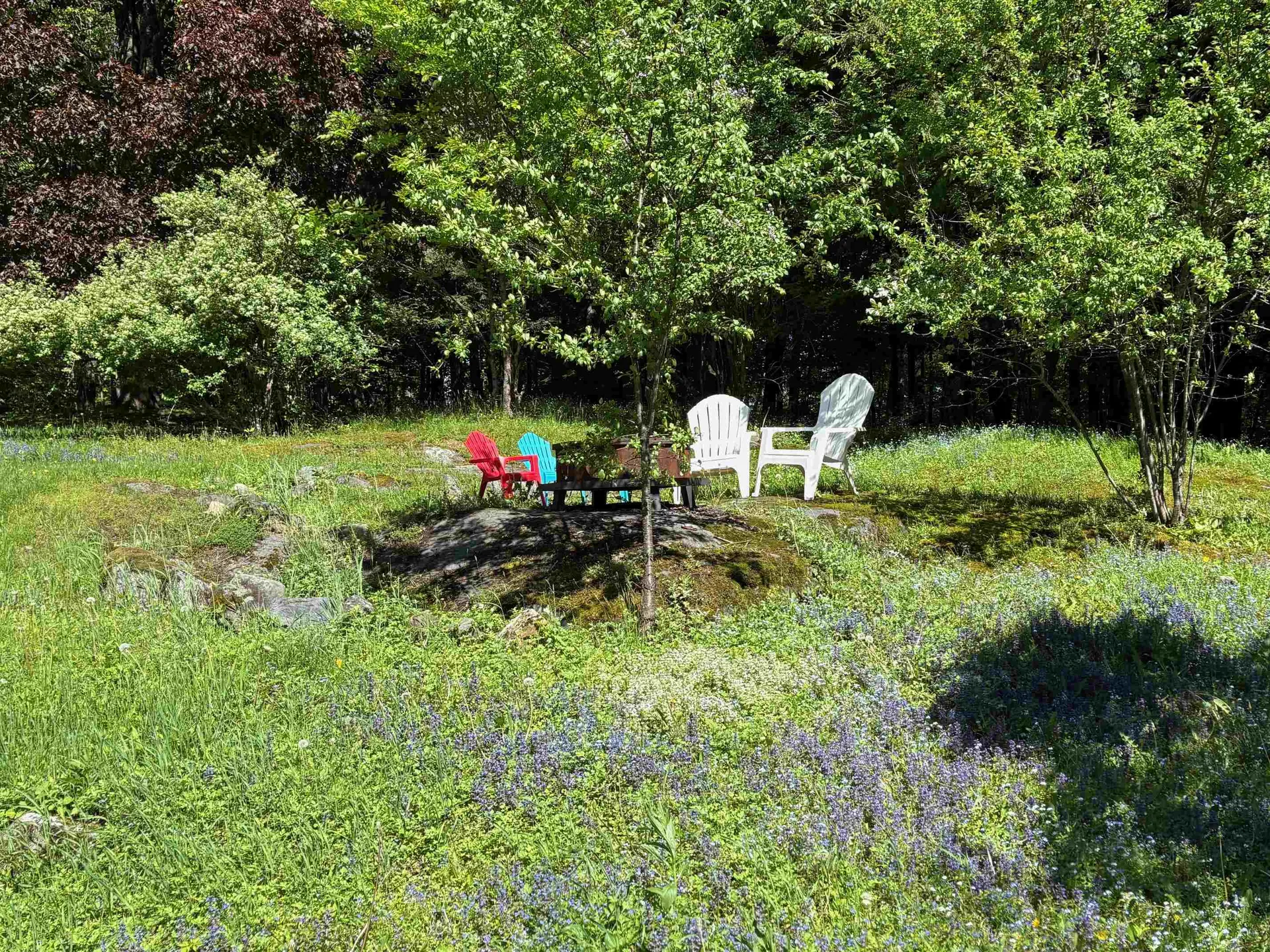 170 Spring Hollow Lane Montpelier VT 05602