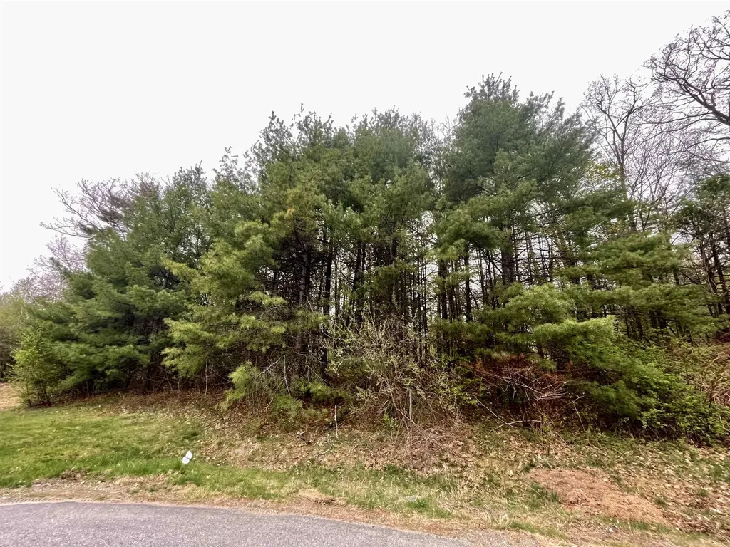 12-2 Pontiac Drive Chesterfield NH 03462