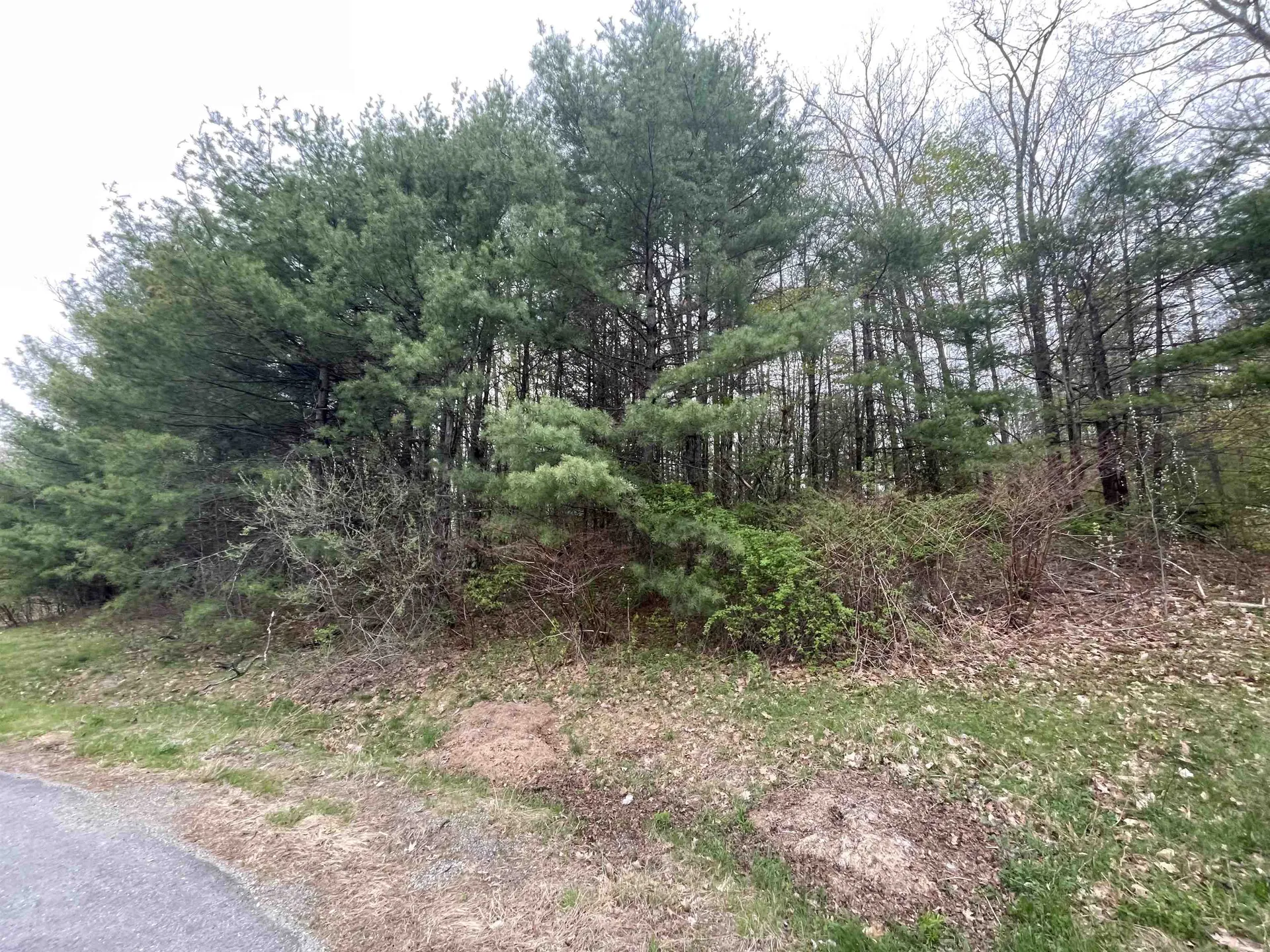 12-2 Pontiac Drive Chesterfield NH 03462