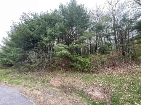 12-2 Pontiac Drive Chesterfield NH 03462