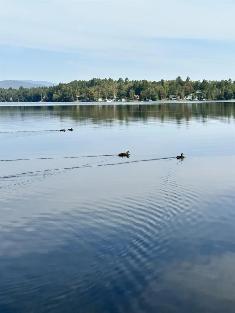 324 Lakeshore Drive Brighton VT 05846