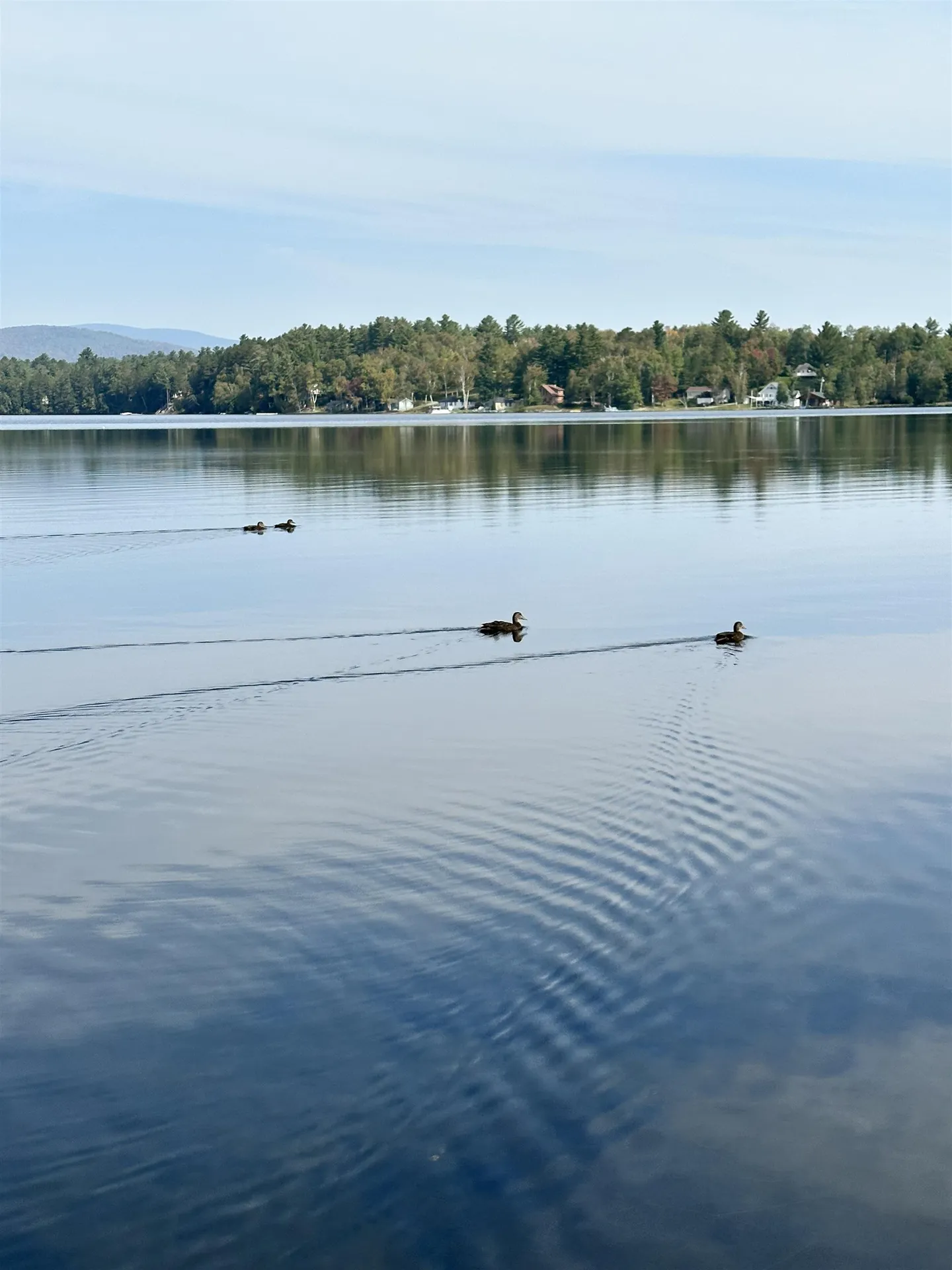 324 Lakeshore Drive Brighton VT 05846
