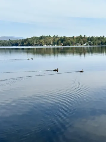 324 Lakeshore Drive Brighton VT 05846