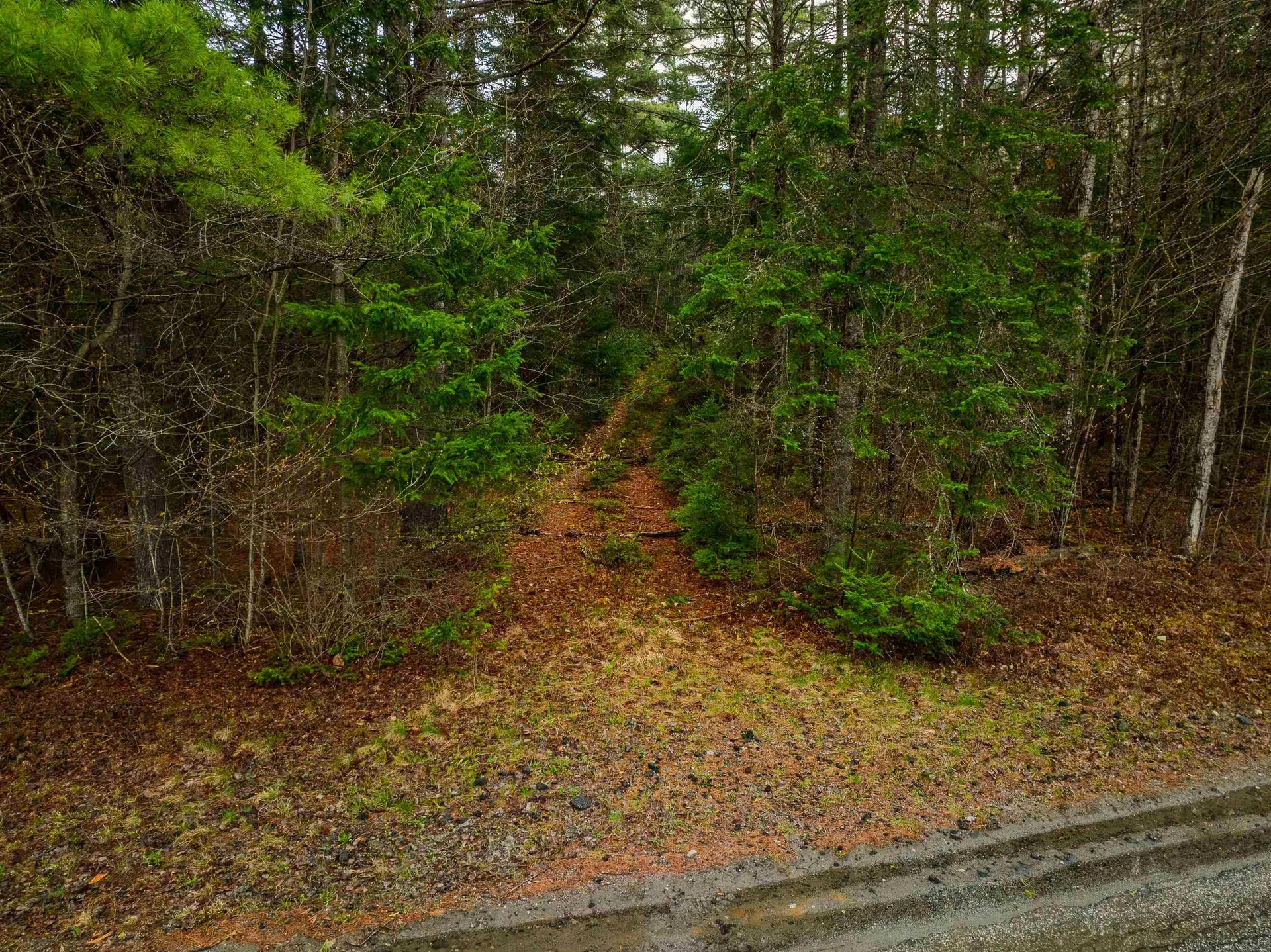 0000 River Road Bethlehem NH 03574