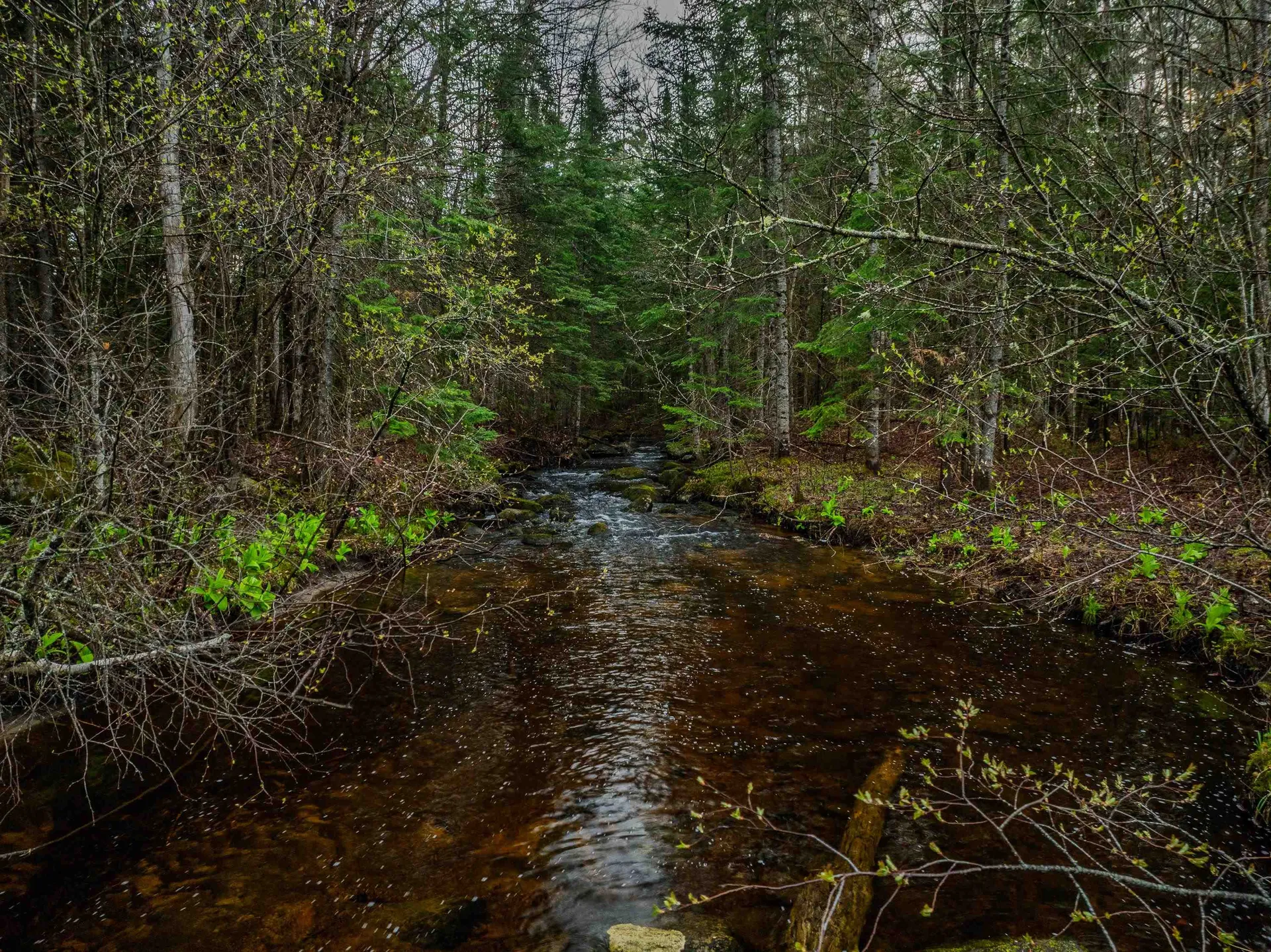 0000 River Road Bethlehem NH 03574