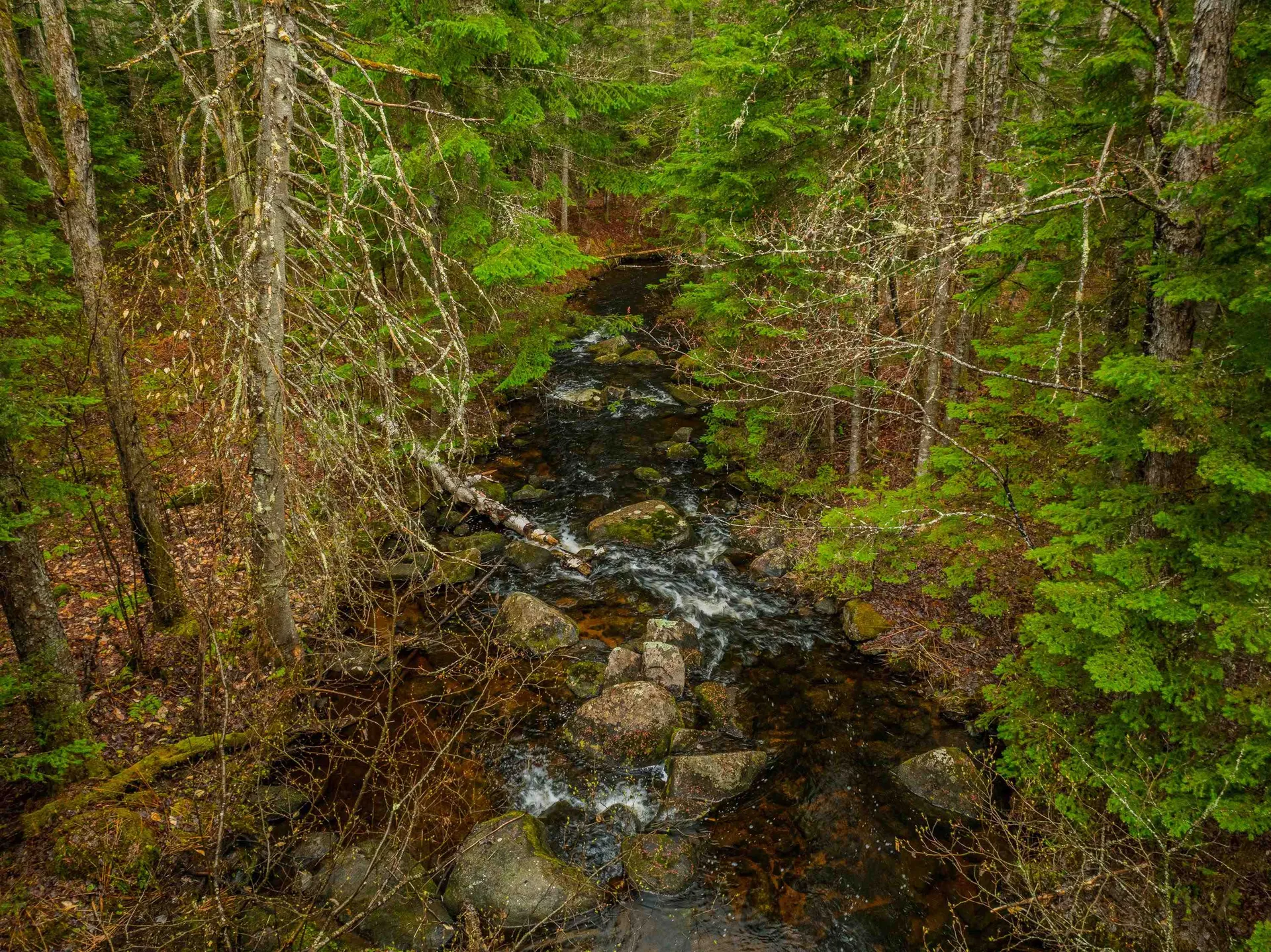 0000 River Road Bethlehem NH 03574