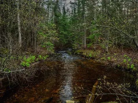 0000 River Road Bethlehem NH 03574