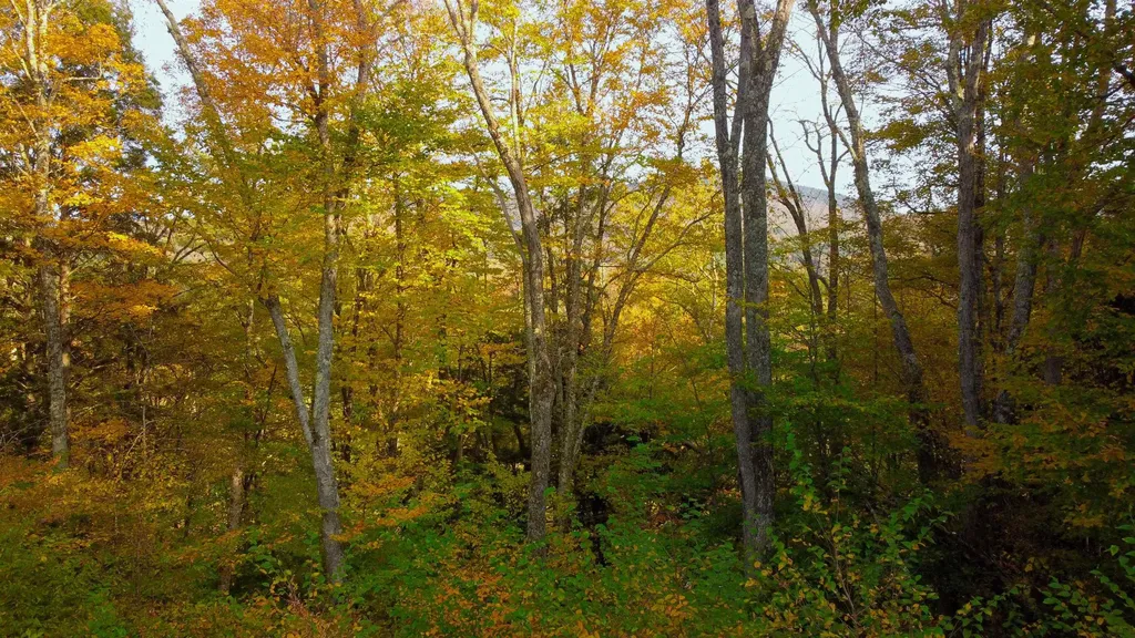 463 Old Talc Mine Road Waitsfield VT 05676
