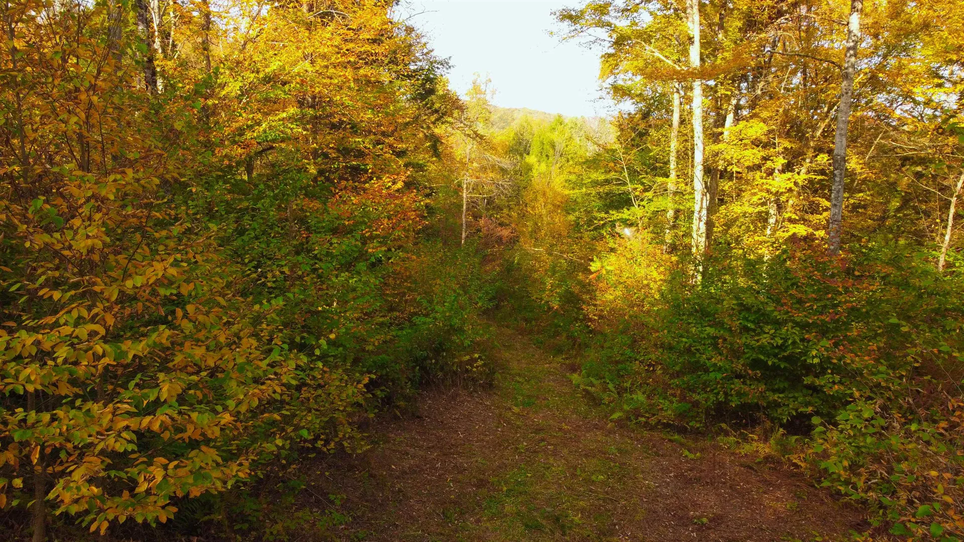 463 Old Talc Mine Road Waitsfield VT 05676