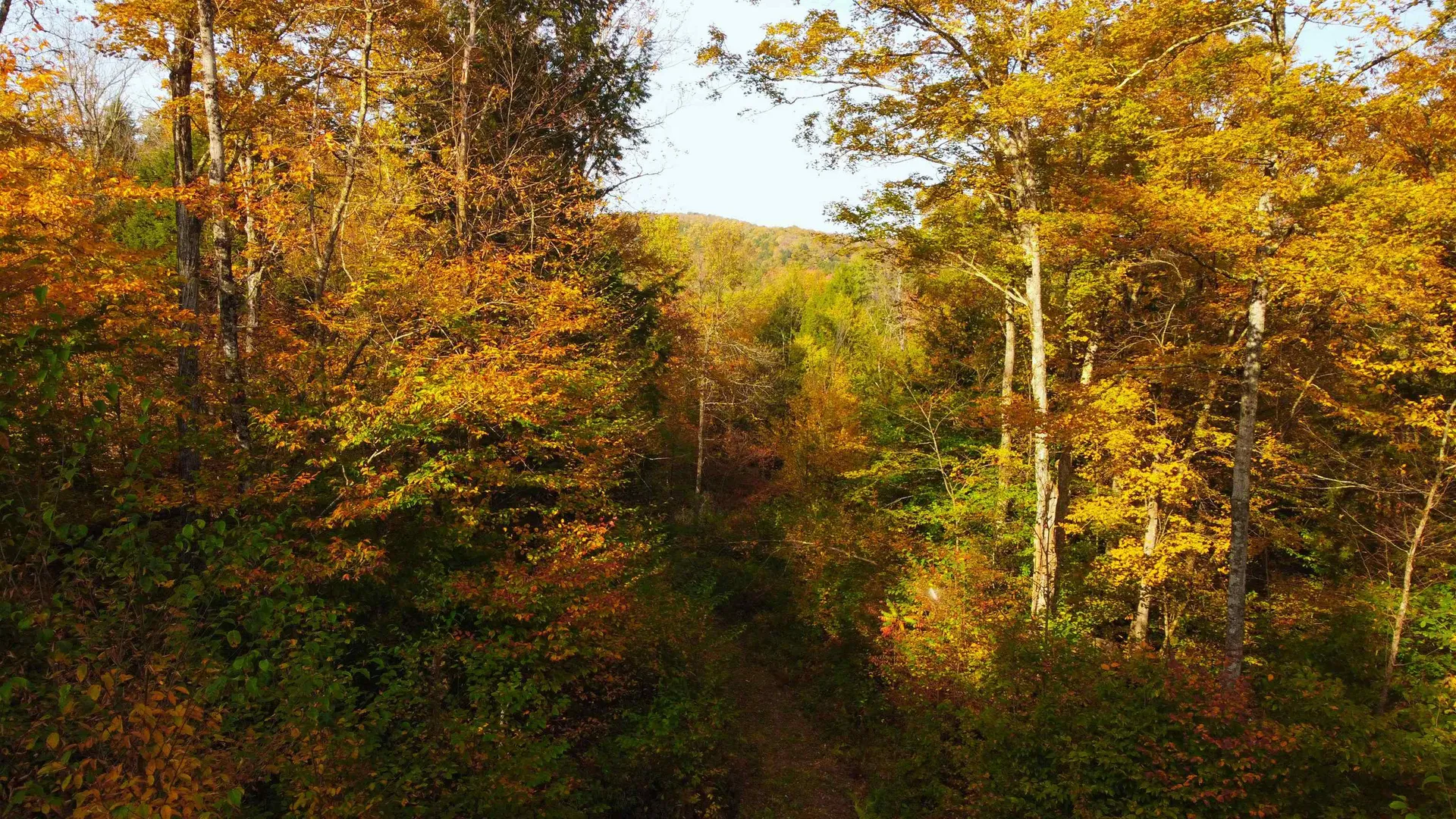 463 Old Talc Mine Road Waitsfield VT 05676