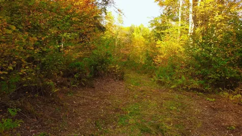 463 Old Talc Mine Road Waitsfield VT 05676