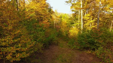 463 Old Talc Mine Road Waitsfield VT 05676