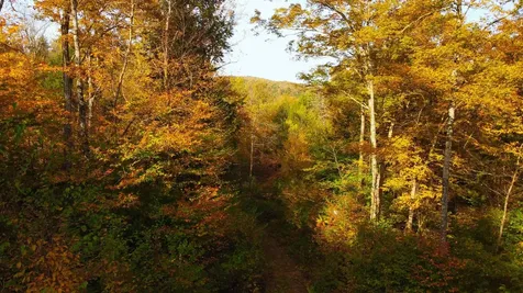 463 Old Talc Mine Road Waitsfield VT 05676