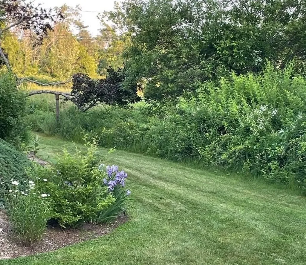 7 Old Mill Drive Wolfeboro NH 03894