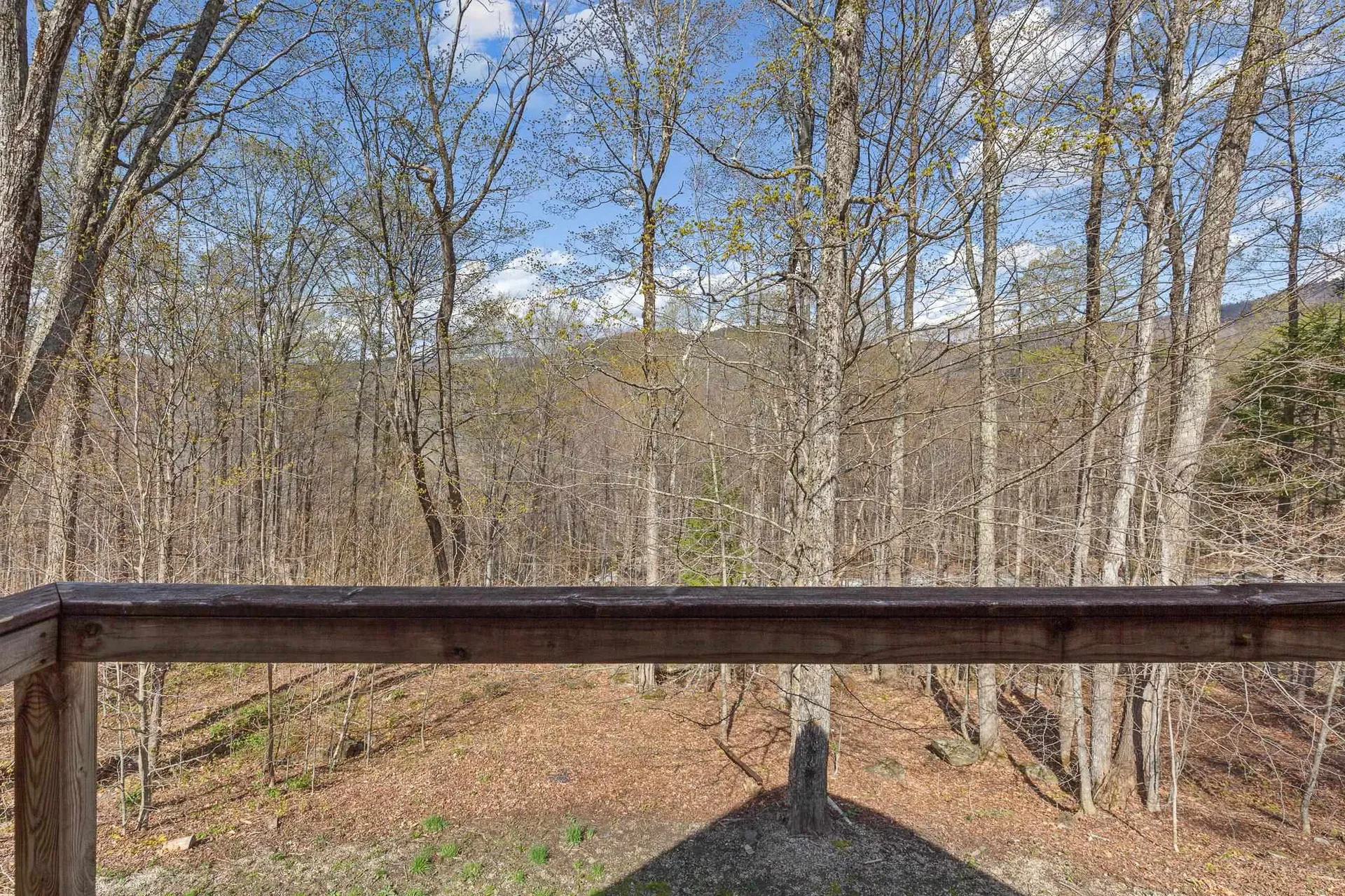 393 Tanglewood Drive Killington VT 05751