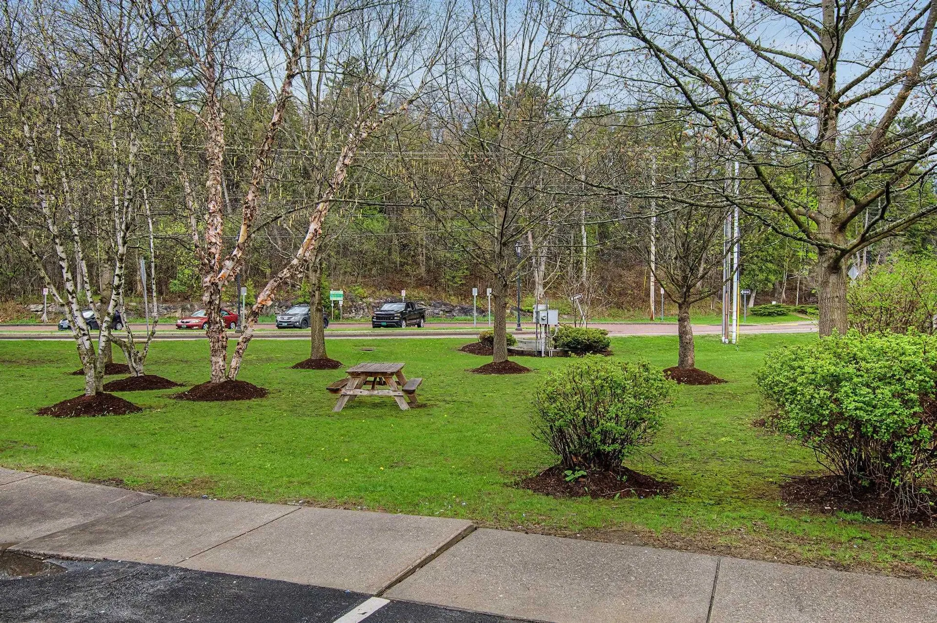 305 Lime Kiln Road South Burlington VT 05403