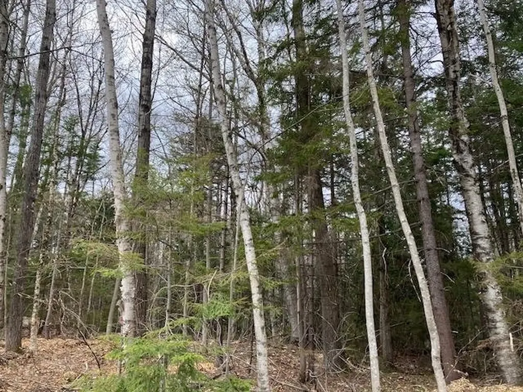 123 High Top Road Wilmington VT 05363