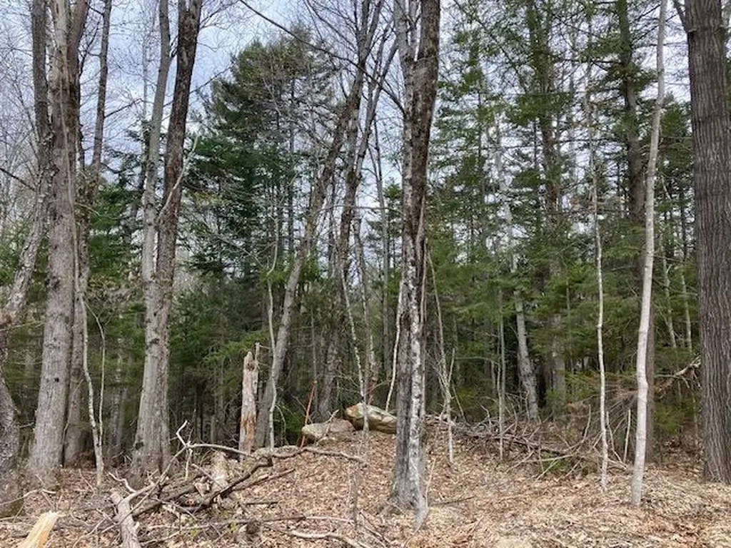 123 High Top Road Wilmington VT 05363