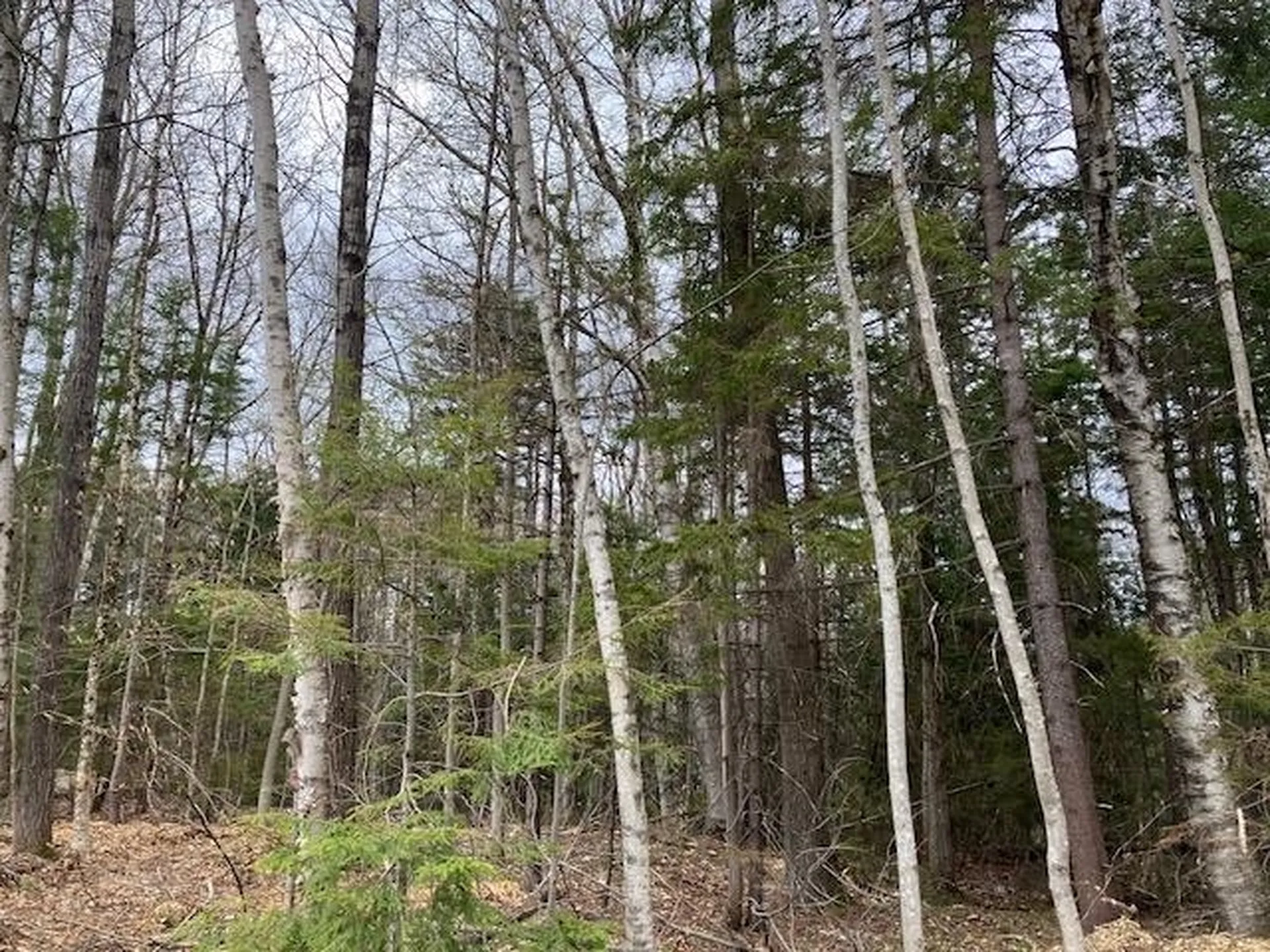 123 High Top Road Wilmington VT 05363