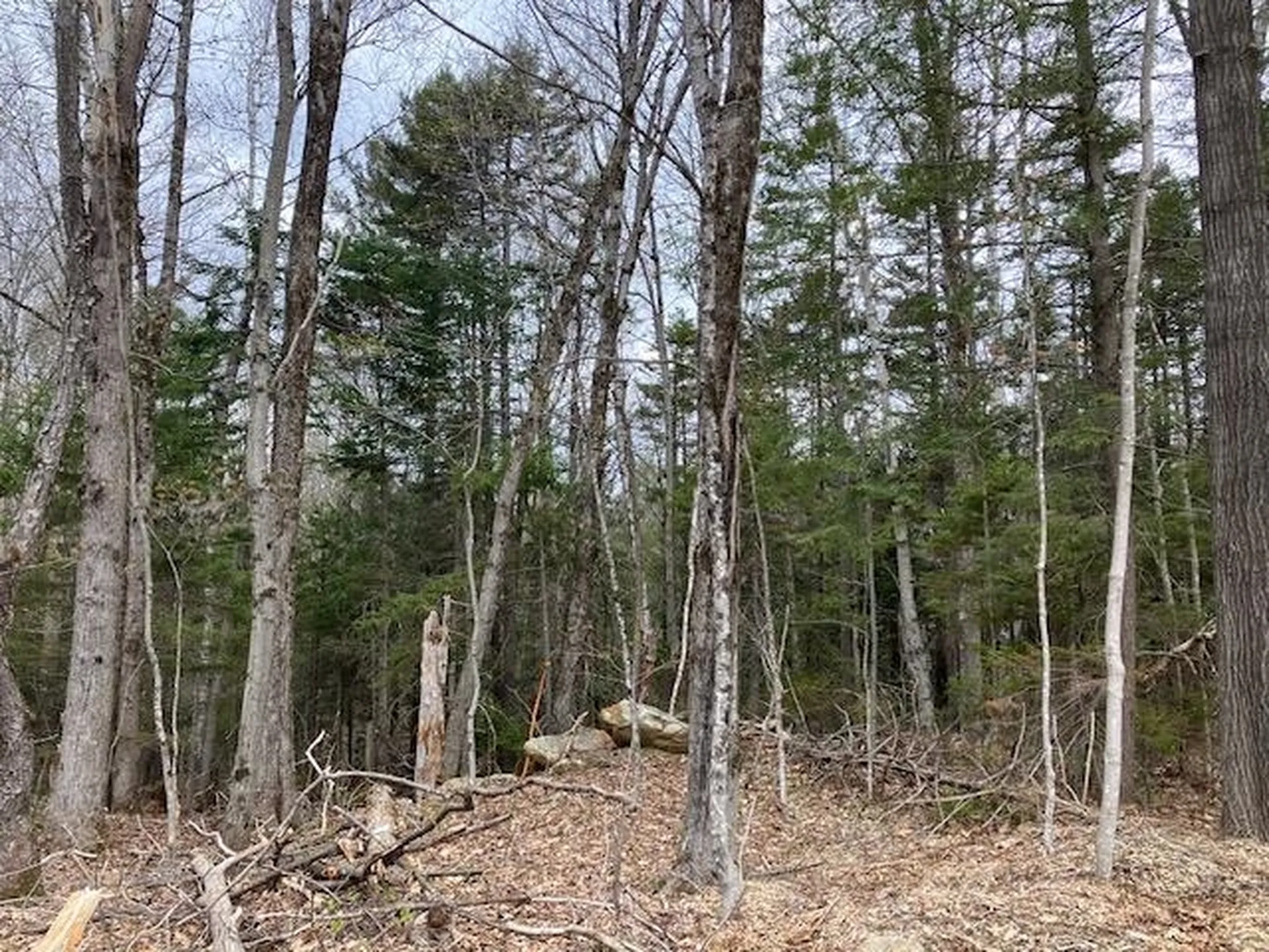 123 High Top Road Wilmington VT 05363