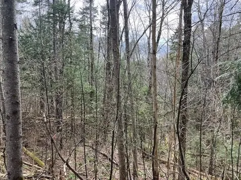 123 High Top Road Wilmington VT 05363