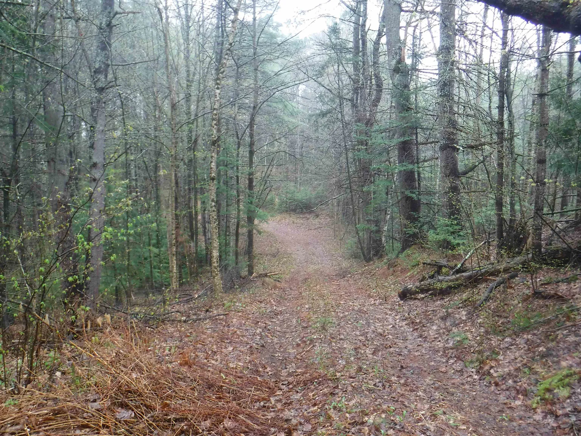 001 Sand County Road Haverhill NH 03774