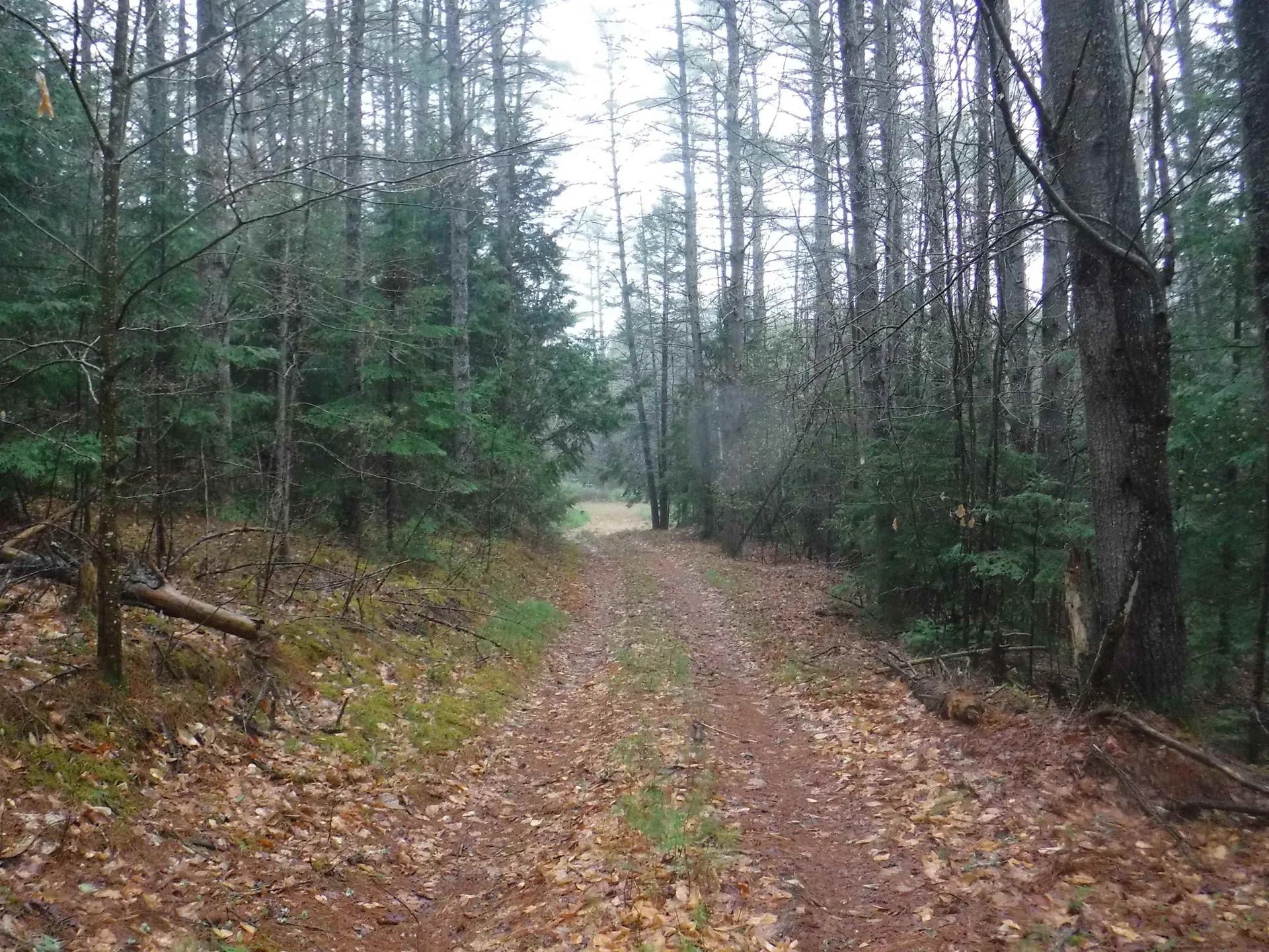 001 Sand County Road Haverhill NH 03774