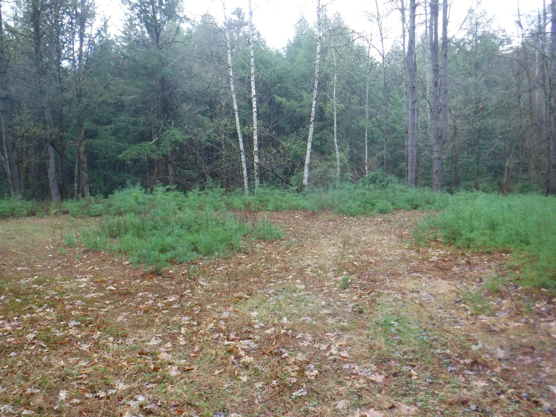 001 Sand County Road Haverhill NH 03774