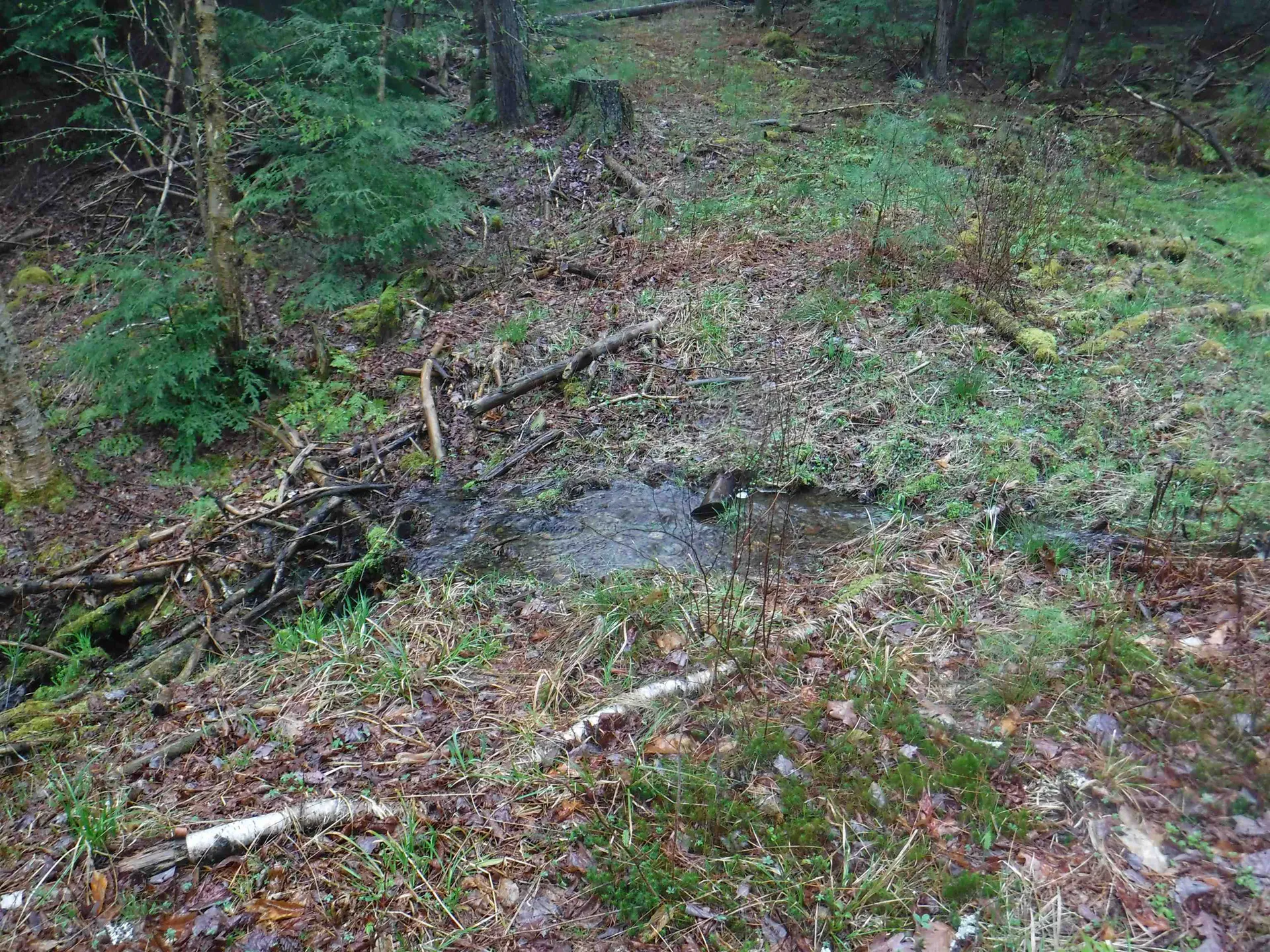 001 Sand County Road Haverhill NH 03774